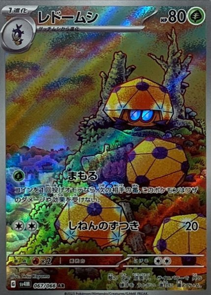 画像1: レドームシ (067/066 AR) (1)